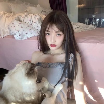 爱猫之城